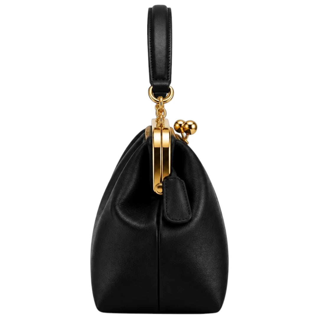 Totsi Black Elegant Kiss Lock Frame Shoulder Handbag